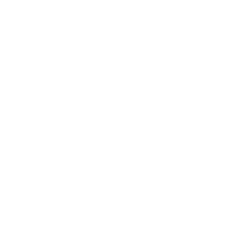 Software Development: E-Commerce